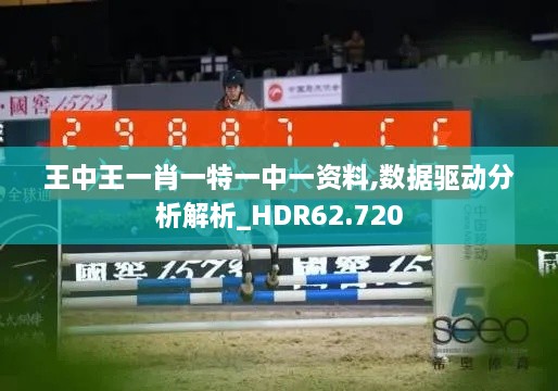 王中王一肖一特一中一资料,数据驱动分析解析_HDR62.720