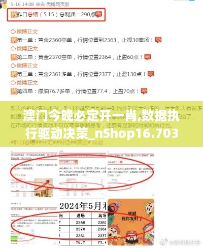 澳门今晚必定开一肖,数据执行驱动决策_nShop16.703