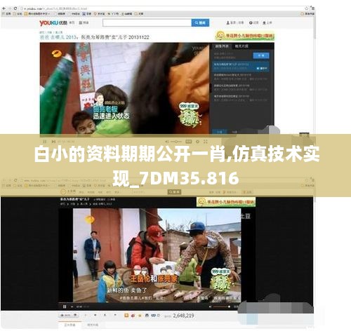 白小的资料期期公开一肖,仿真技术实现_7DM35.816