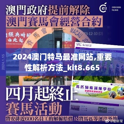 2024澳门特马最准网站,重要性解析方法_kit8.665