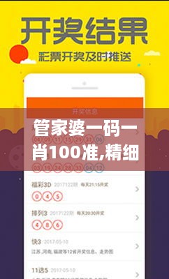 管家婆一码一肖100准,精细评估解析_标配版7.280