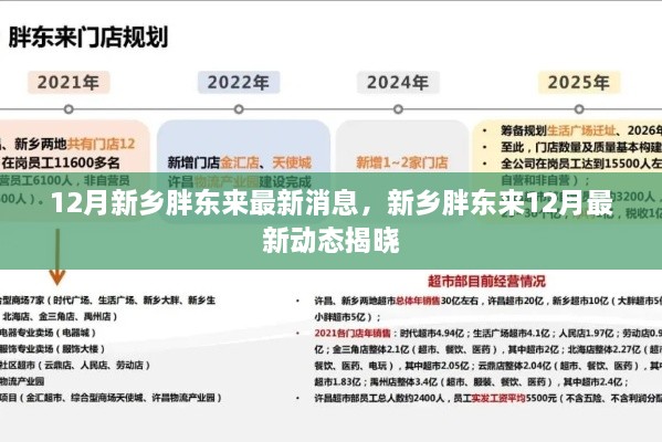 新乡胖东来十二月最新动态揭晓，最新消息一览