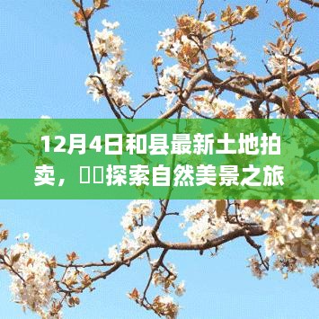 工程案例 第318页