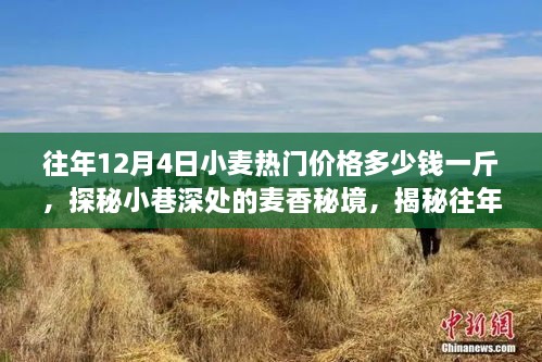 探秘往年12月4日小麦热门价格背后的故事，小巷深处的麦香秘境揭秘一斤小麦的价格走势与趋势分析。