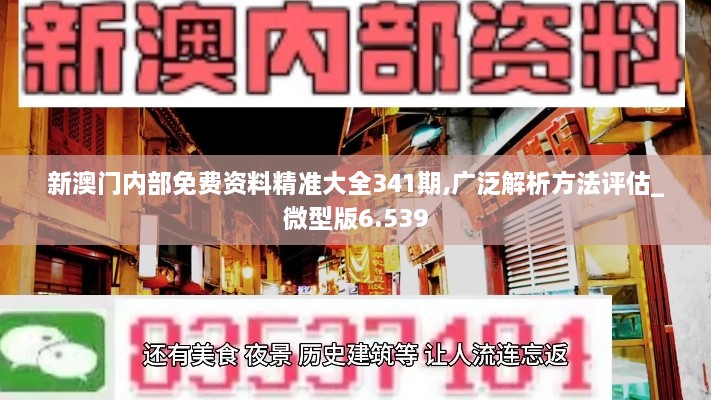 新澳门内部免费资料精准大全341期,广泛解析方法评估_微型版6.539