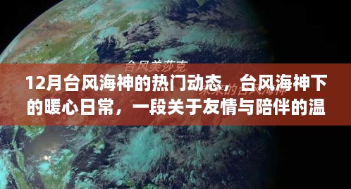 台风海神下的暖心日常，友情与陪伴的温馨故事