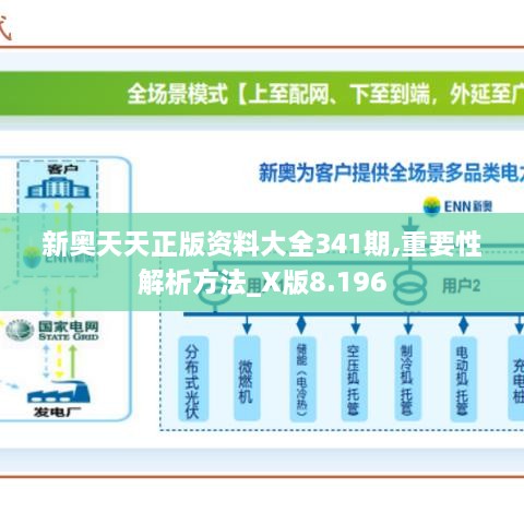 新奥天天正版资料大全341期,重要性解析方法_X版8.196