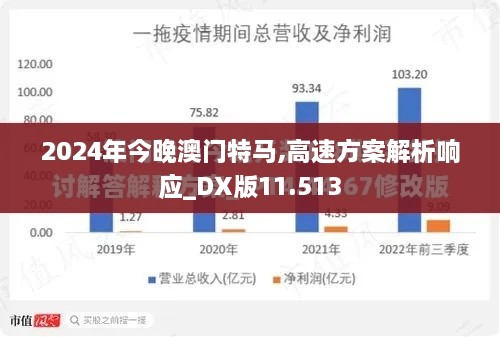 2024年今晚澳门特马,高速方案解析响应_DX版11.513