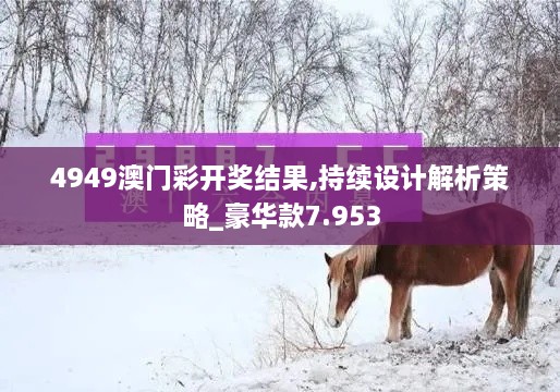 4949澳门彩开奖结果,持续设计解析策略_豪华款7.953