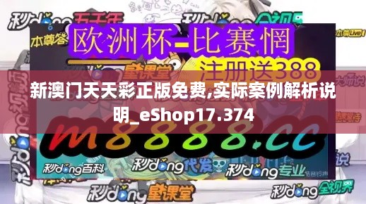 新澳门天天彩正版免费,实际案例解析说明_eShop17.374