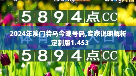 2024年澳门特马今晚号码,专家说明解析_定制版1.453