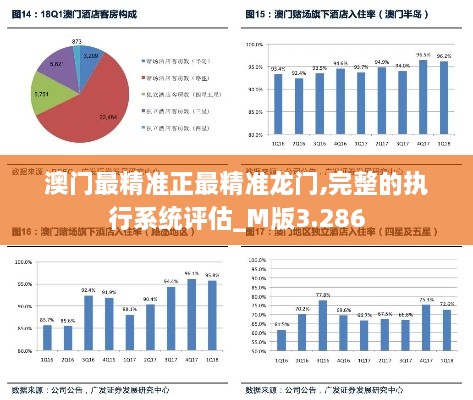 澳门最精准正最精准龙门,完整的执行系统评估_M版3.286