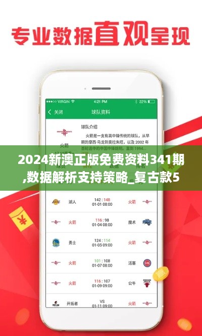 2024新澳正版免费资料341期,数据解析支持策略_复古款5.560