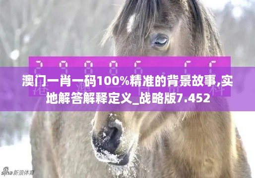 澳门一肖一码100%精准的背景故事,实地解答解释定义_战略版7.452