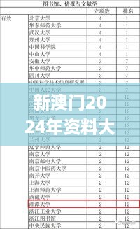 新澳门2024年资料大全宫家婆,高效性计划实施_豪华版8.156