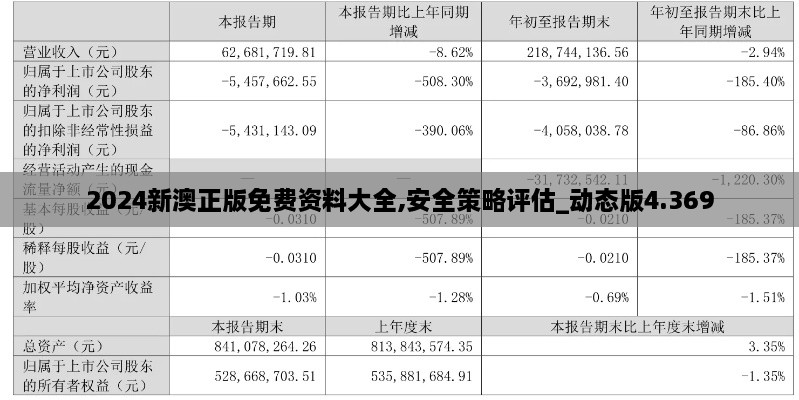 2024新澳正版免费资料大全,安全策略评估_动态版4.369