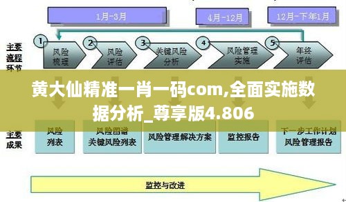 黄大仙精准一肖一码com,全面实施数据分析_尊享版4.806