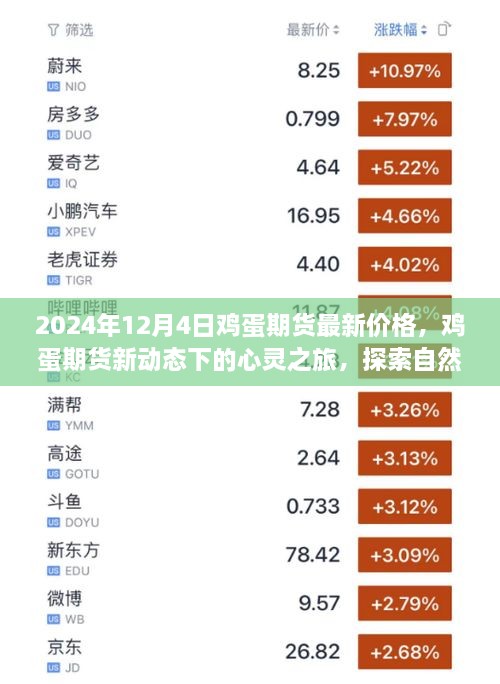 心灵之旅，鸡蛋期货最新动态下的自然美景探索与内心平静寻找