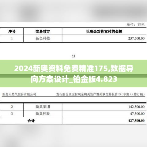 2024新奥资料免费精准175,数据导向方案设计_铂金版4.823