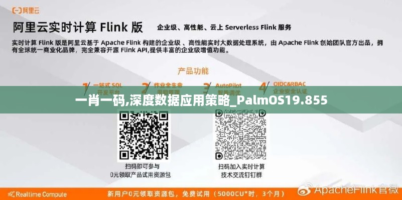 一肖一码,深度数据应用策略_PalmOS19.855