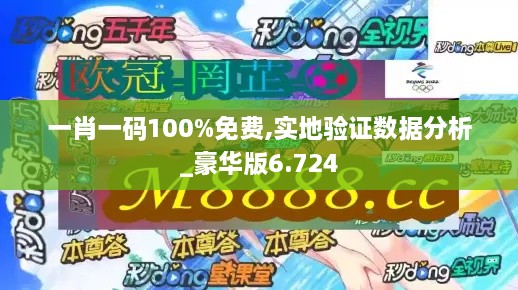 一肖一码100%免费,实地验证数据分析_豪华版6.724