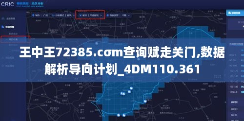 王中王72385.cσm查询赋走关门,数据解析导向计划_4DM110.361