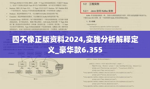 四不像正版资料2024,实践分析解释定义_豪华款6.355