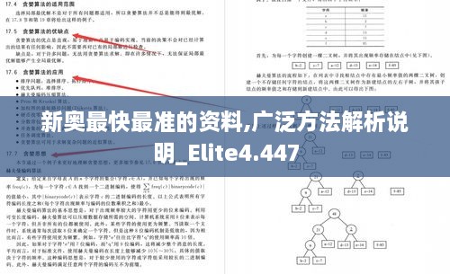 2024年12月 第817页