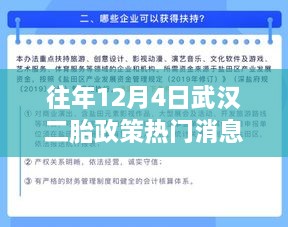 武汉二胎政策下的自然探索之旅，美景与内心宁静的寻找之旅