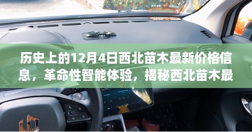 历史上的12月4日，西北苗木最新价格信息揭秘与智能科技展望——智能体验与价格信息回顾与展望