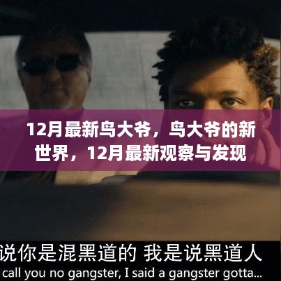 鸟大爷的新世界，12月最新观察与发现之旅