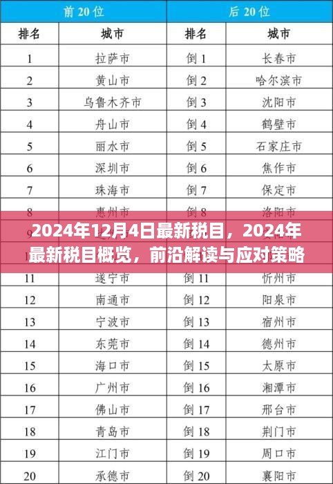 2024年最新税目概览及应对策略，前沿解读与实用指南