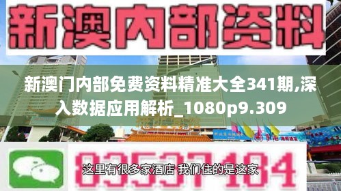 新澳门内部免费资料精准大全341期,深入数据应用解析_1080p9.309