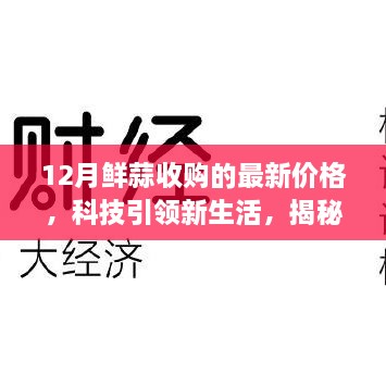 揭秘鲜蒜智能收购系统，掌握最新鲜蒜价格动态，科技引领新生活