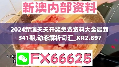 2024新澳天天开奖免费资料大全最新341期,动态解析词汇_XR2.897