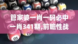 管家婆一肖一码必中一肖341期,前瞻性战略定义探讨_ios4.547