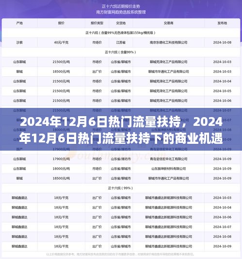 2024年12月6日热门流量扶持下的商业机遇与挑战解析