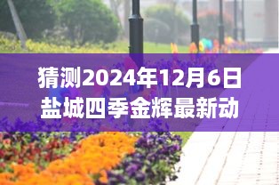 揭秘盐城四季金辉未来动态，预测盐城四季金辉在2024年12月6日的最新发展动态及无限可能