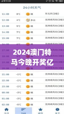 2024澳门特马今晚开奖亿彩网,实地策略计划验证_7DM3.479