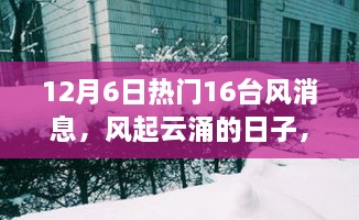 温馨台风故事，风起云涌的日子，台风消息中的友情记忆