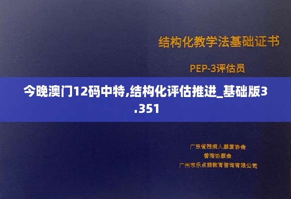 今晚澳门12码中特,结构化评估推进_基础版3.351