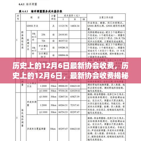 揭秘历史上的12月6日，最新协会收费概览