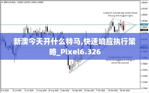 新澳今天开什么特马,快速响应执行策略_Pixel6.326