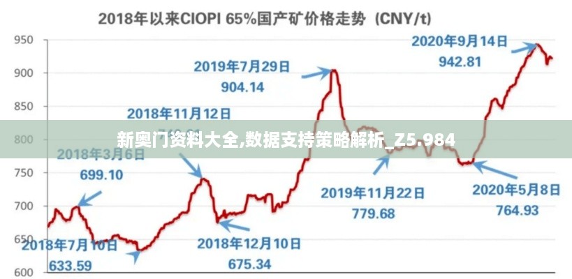 新奥门资料大全,数据支持策略解析_Z5.984