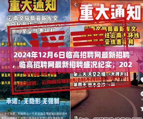 2024年12月7日 第115页