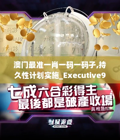 澳门最准一肖一码一码孑,持久性计划实施_Executive9.739