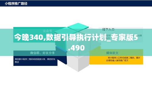 今晚340,数据引导执行计划_专家版5.490