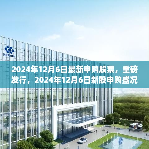 揭秘，2024年新股申购盛况与时代背景下的地位与影响