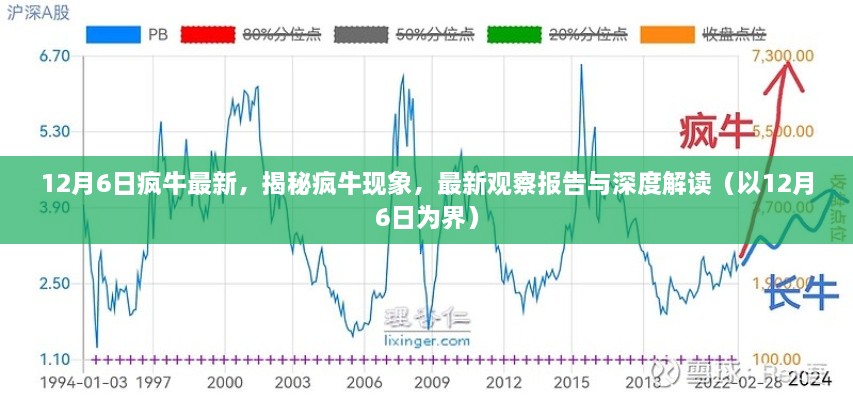 揭秘疯牛现象，最新观察报告与深度解读（截至12月6日）