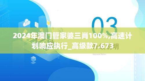 2024年澳门管家婆三肖100%,高速计划响应执行_高级款7.673